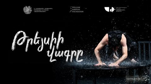 Թրեյսիի վագրը